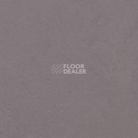 Линолеум Forbo Marmoleum Decibel on Order 373035 stella фото 1 | FLOORDEALER